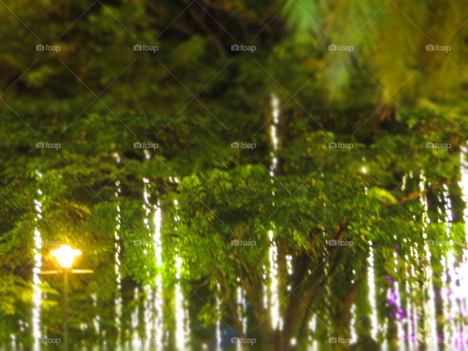 It's the most wonderdul time of the year.