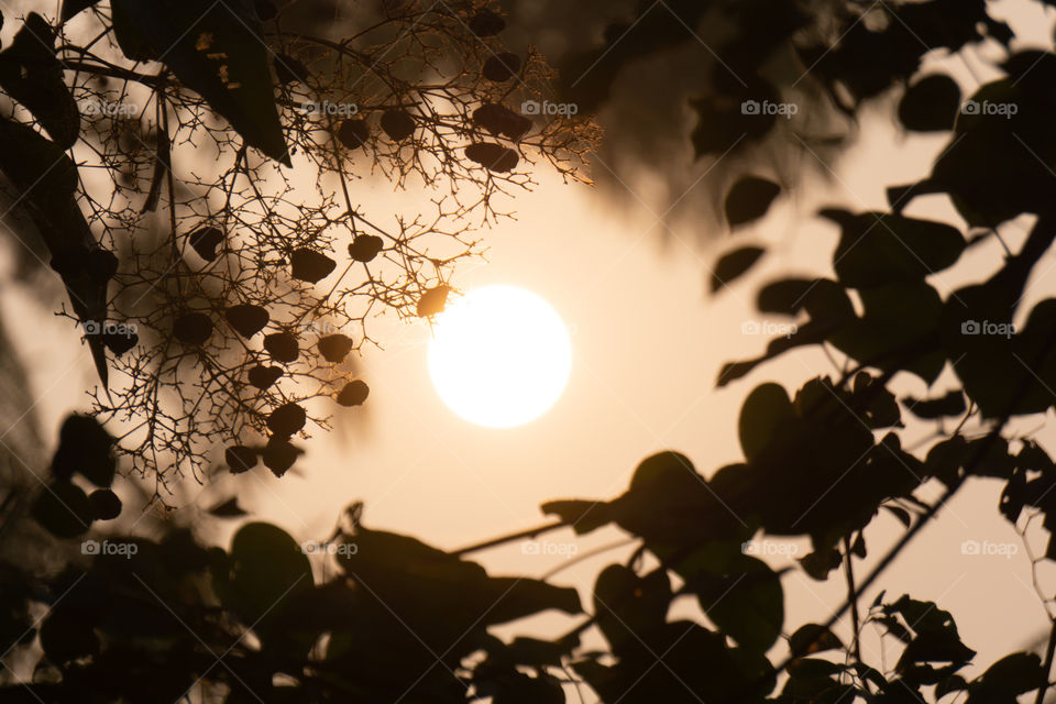 Nature is so beautifull capture it because every moment nature is changed