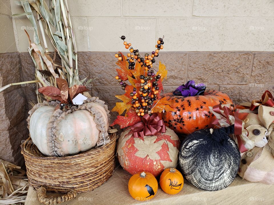 decorative pumpkins display