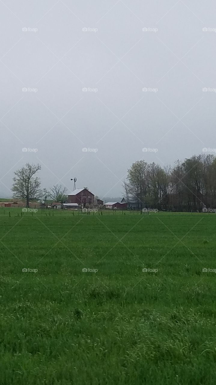 Amish farm