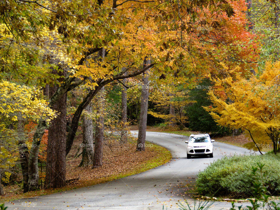 Fall drive