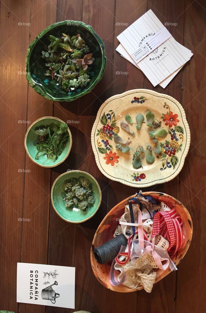 Arts and crafts with succulents