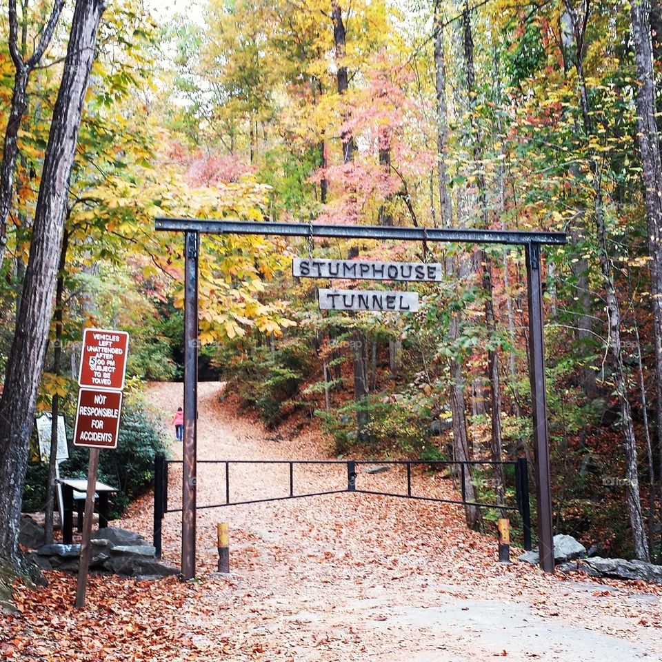 The Stump House Tunnel