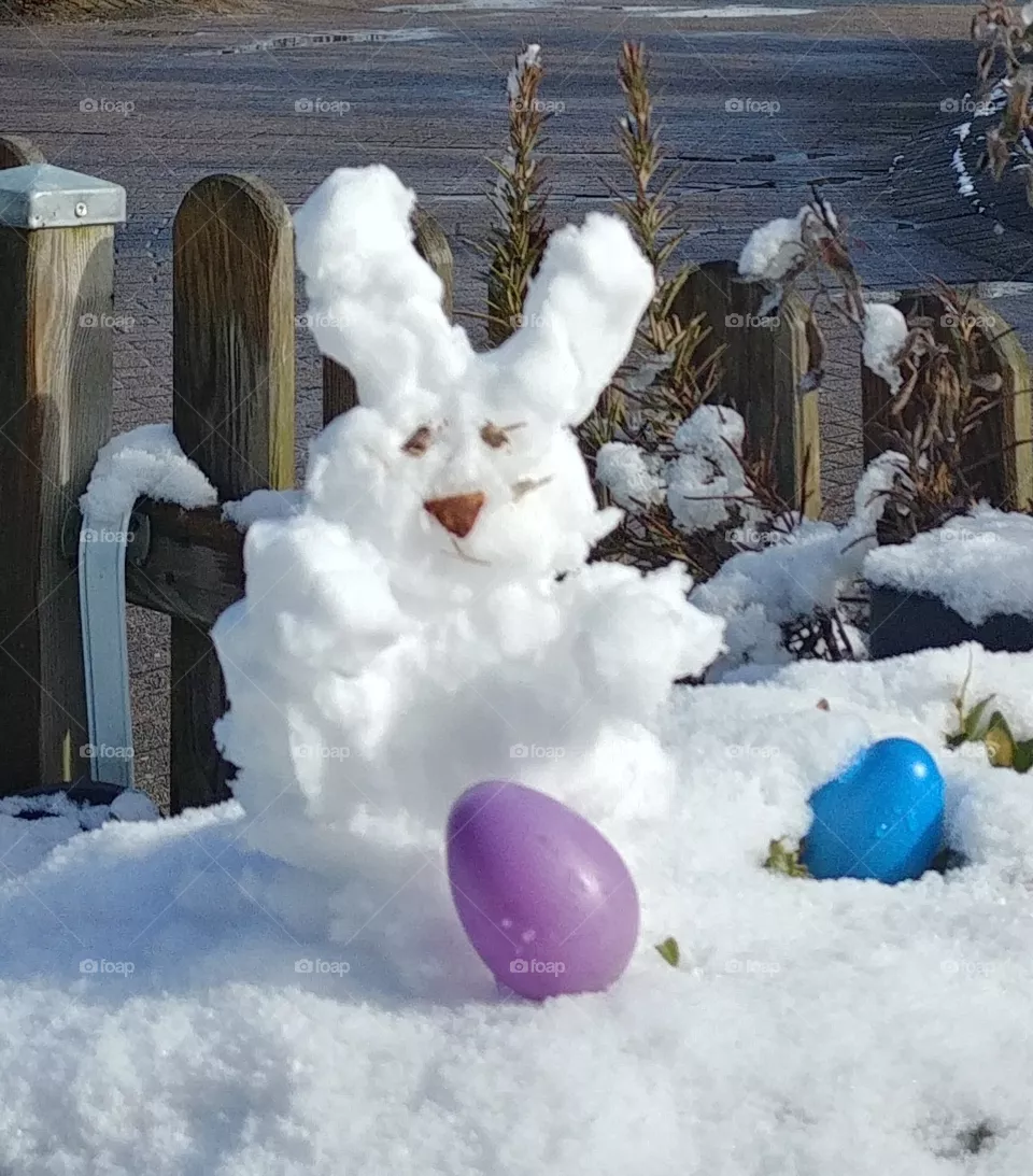 ostern eier bunt hase
