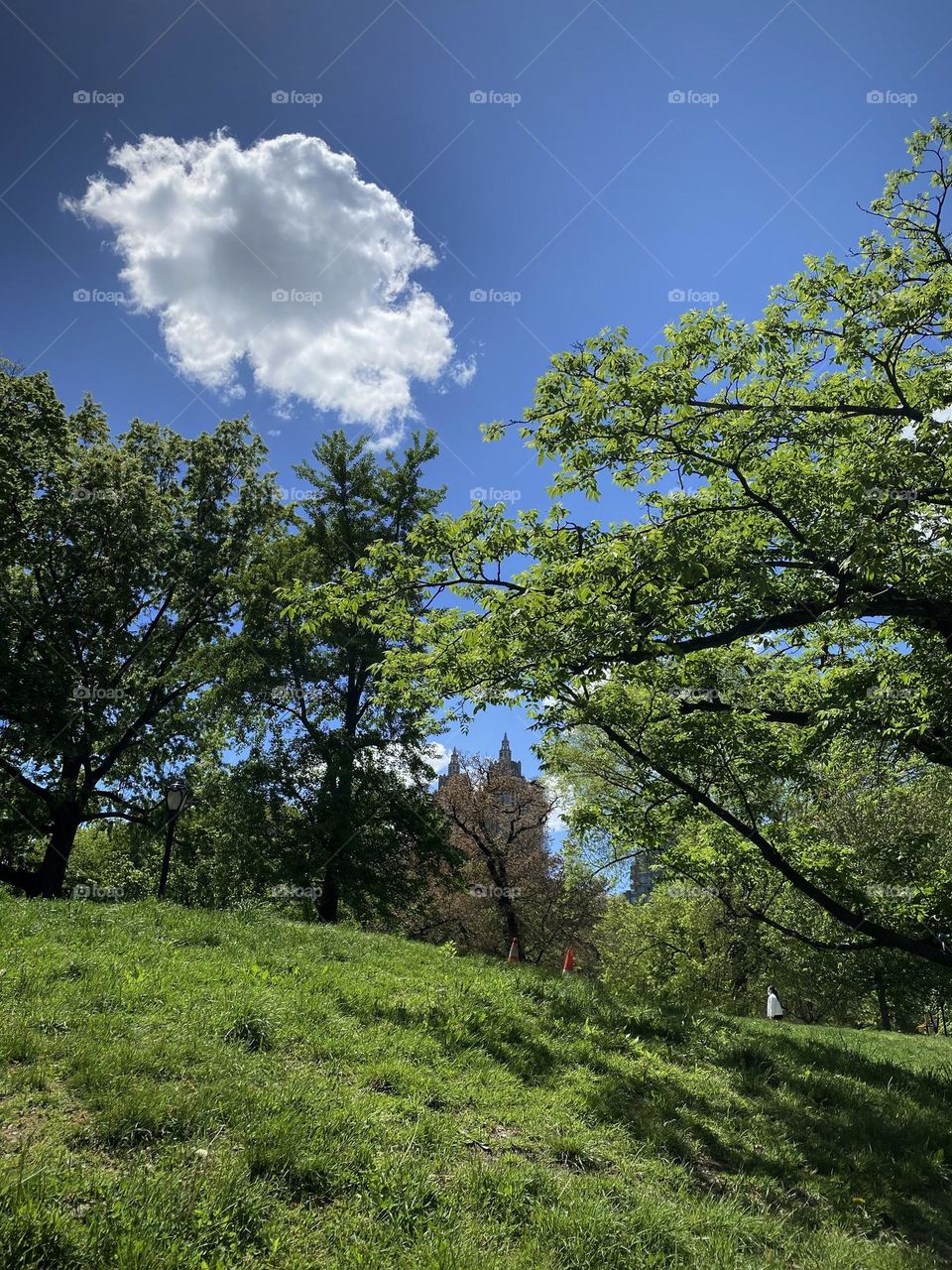 Cloud at Central Park New York 