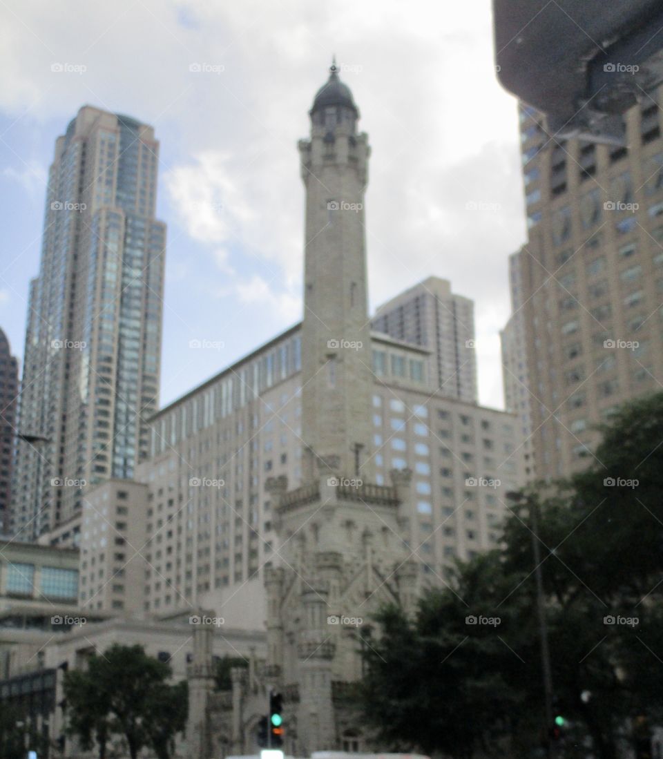 An old church in the middle of big city buildings with some tall bushes in the foreground 