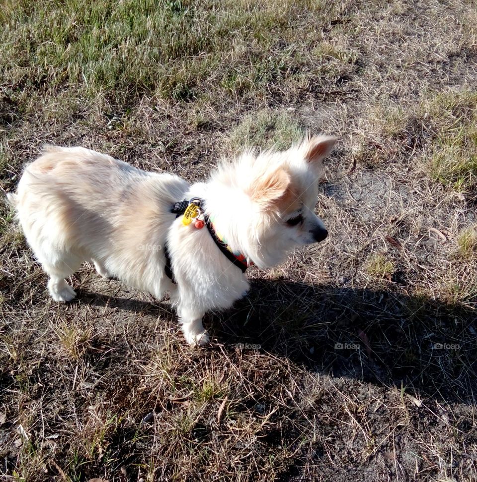 Looking at my shadow