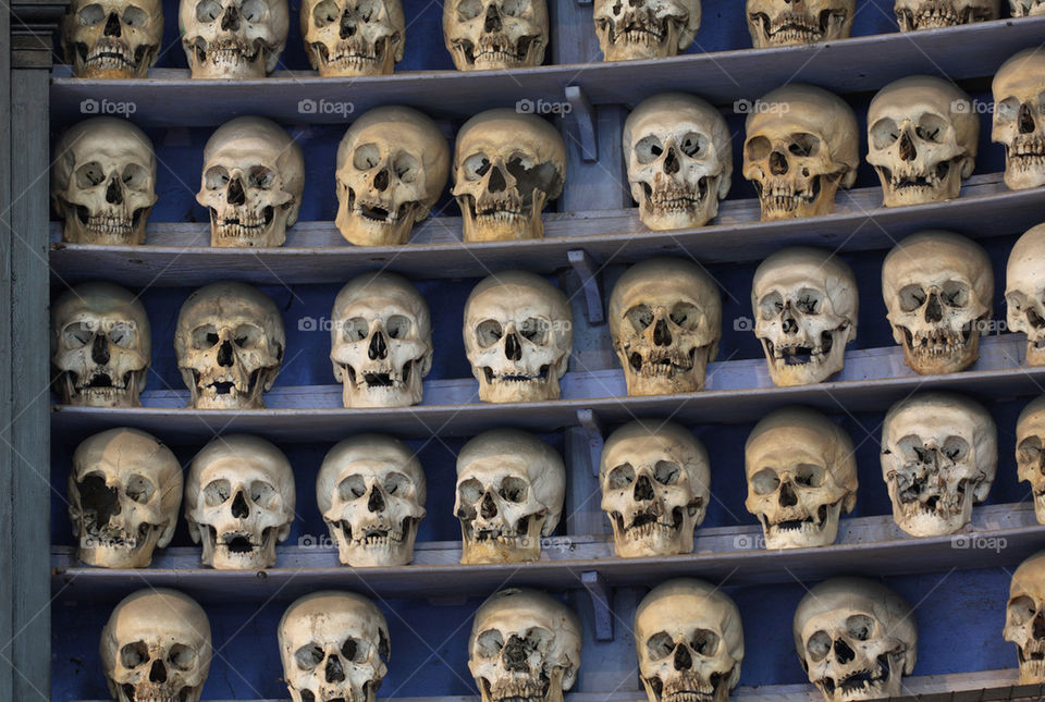 many skulls ossuary 