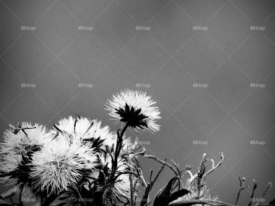 Autumn in different way