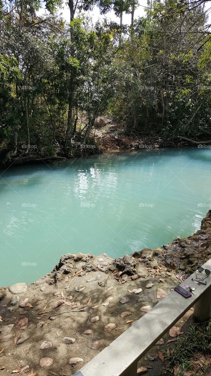 Cardwell Natural spa, Cardwell, Queensland Australia is an amazing colour with beautiful scenery surrounding it