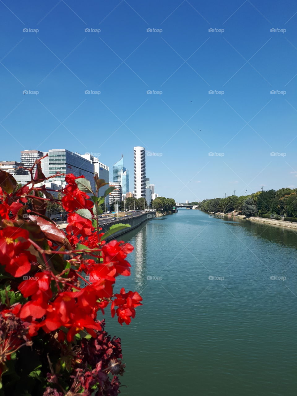 Beautiful cityscape with river and red flowers