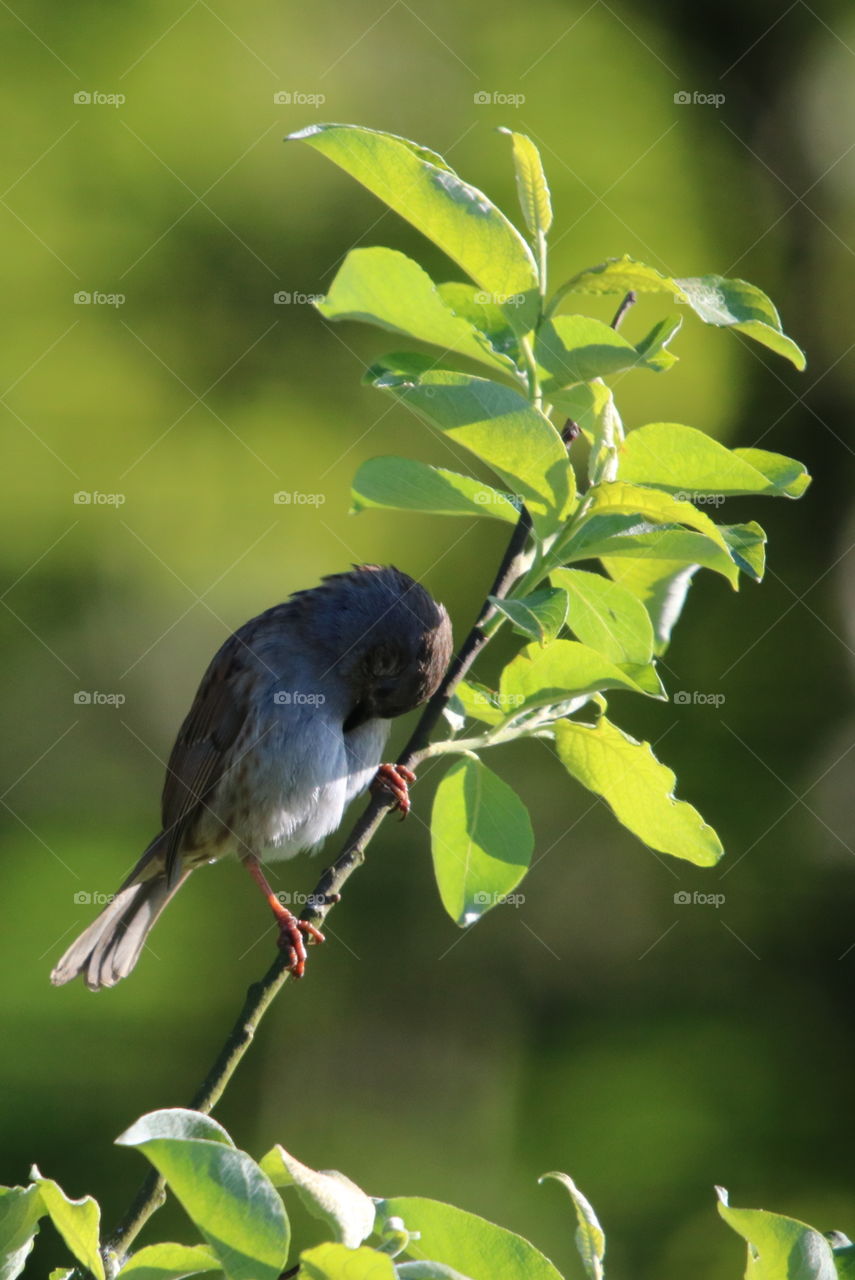 No more pic Please ;) 