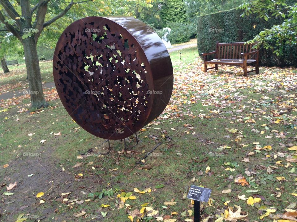 Many things take the circle shape