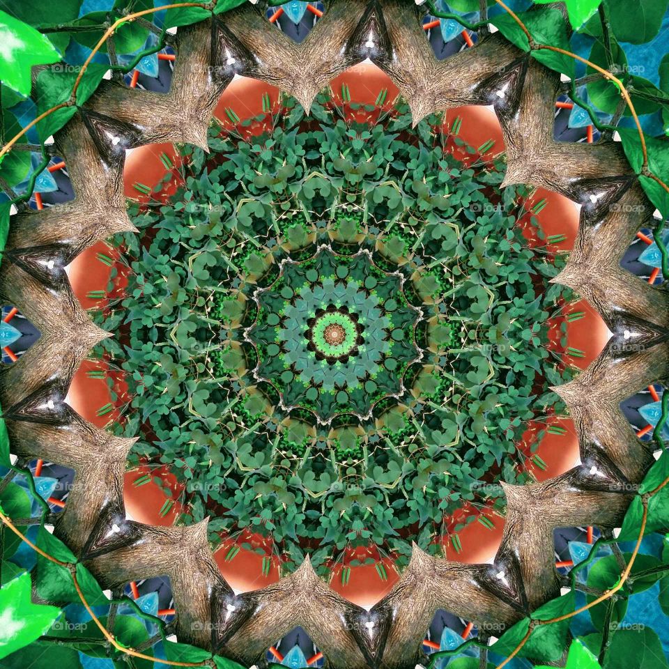 clover pot mandala 14