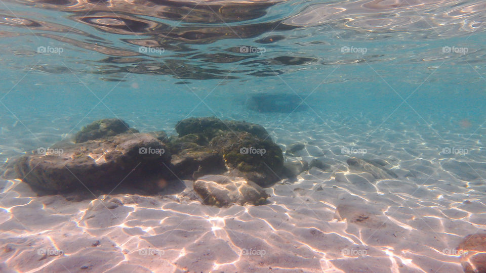 underwater world of sand, rock and salt