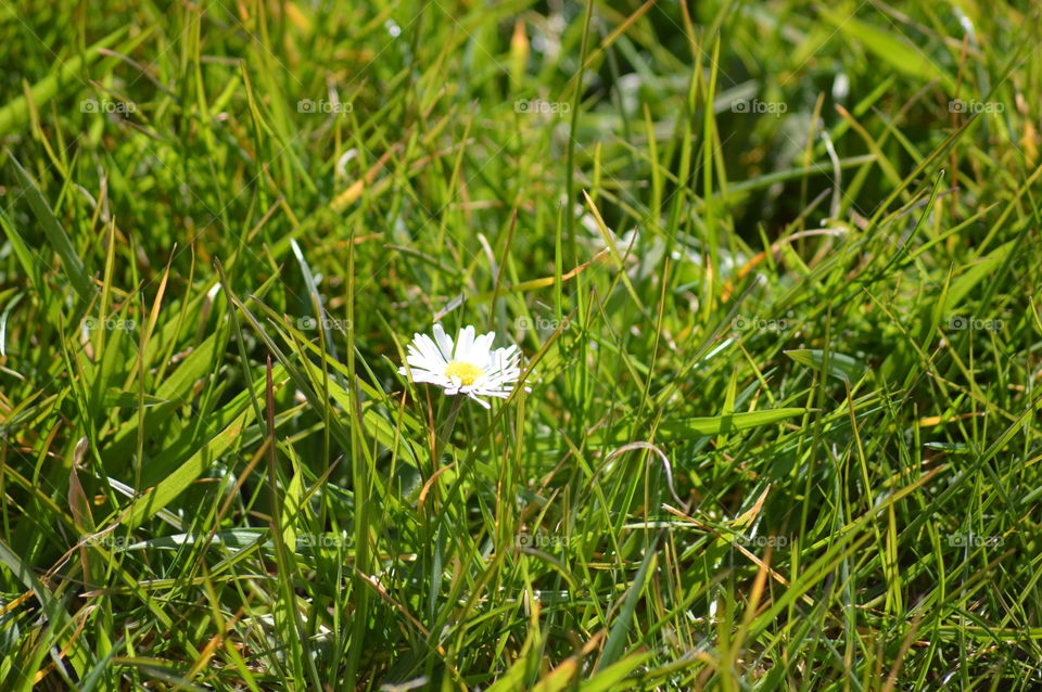 Early sings of Spring-photo taken the first calendar day of spring