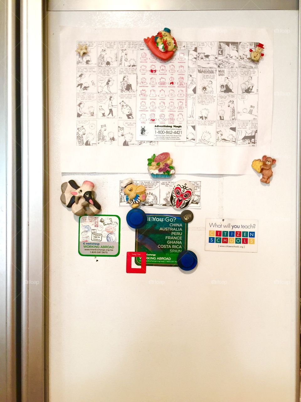 Fridge magnets 