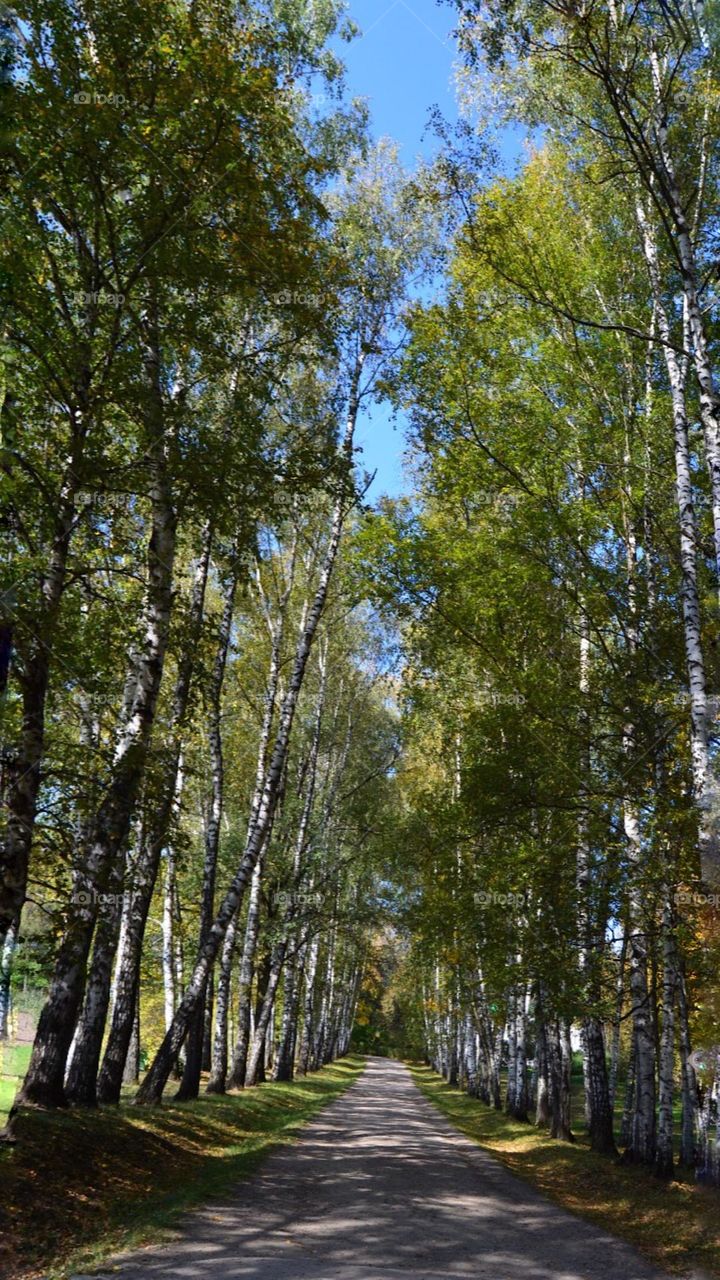 walk on a weekend…