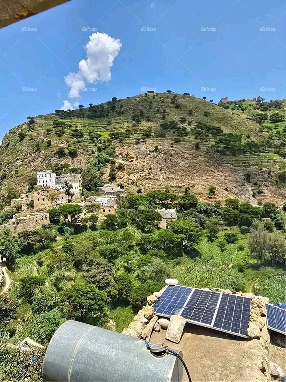 A very beautiful picture, and there is no better picture than it. There is no better picture of green herbs and colorful, red and white roses than it. Glory be to God, the natural and picturesque view, and there is no more