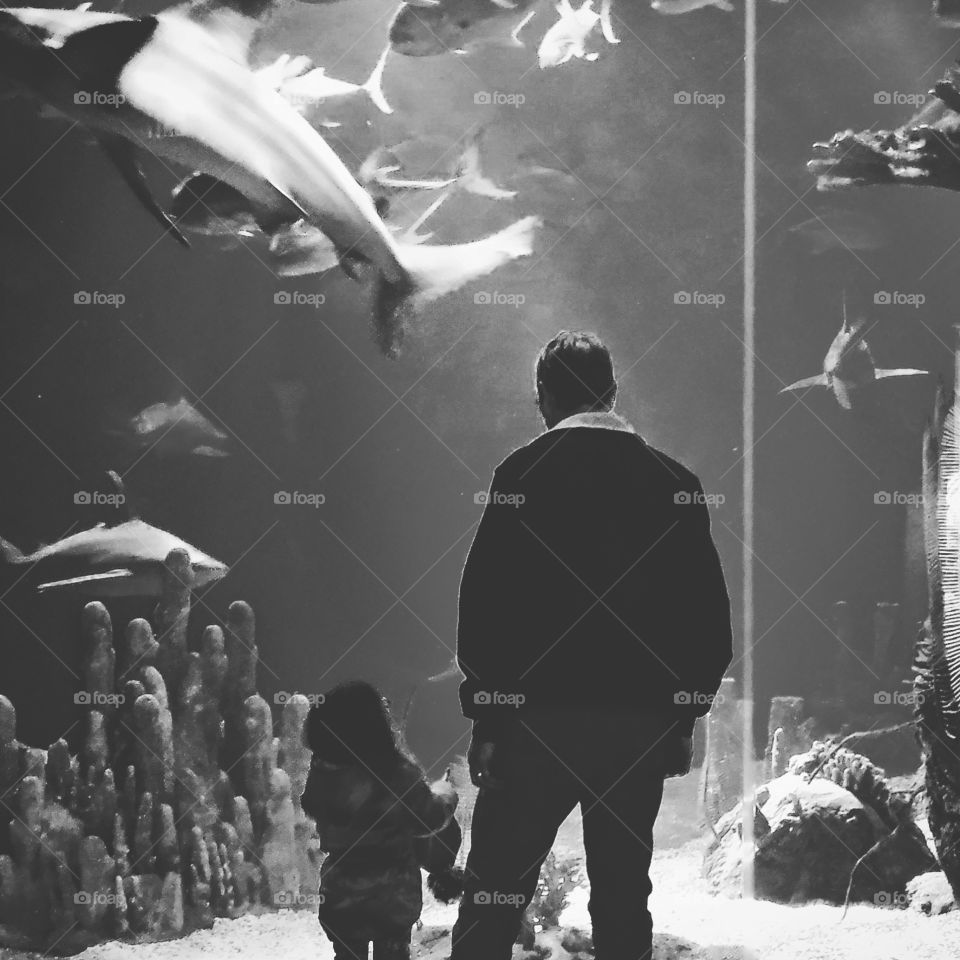 Capturing the wonder- a grandfather and granddaughter admiring an aquarium at the Henry Doorly Zoo in Omaha, Nebraska.