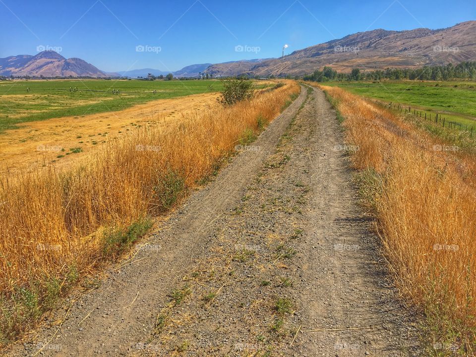 Beautiful day for a walk! 