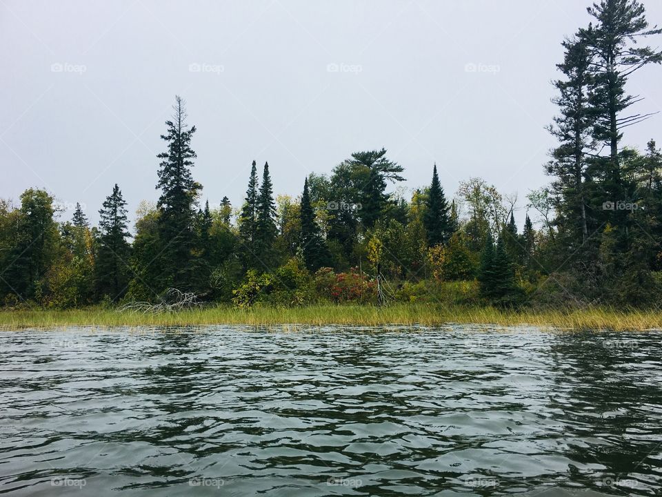 Lake Itasca lakeshore