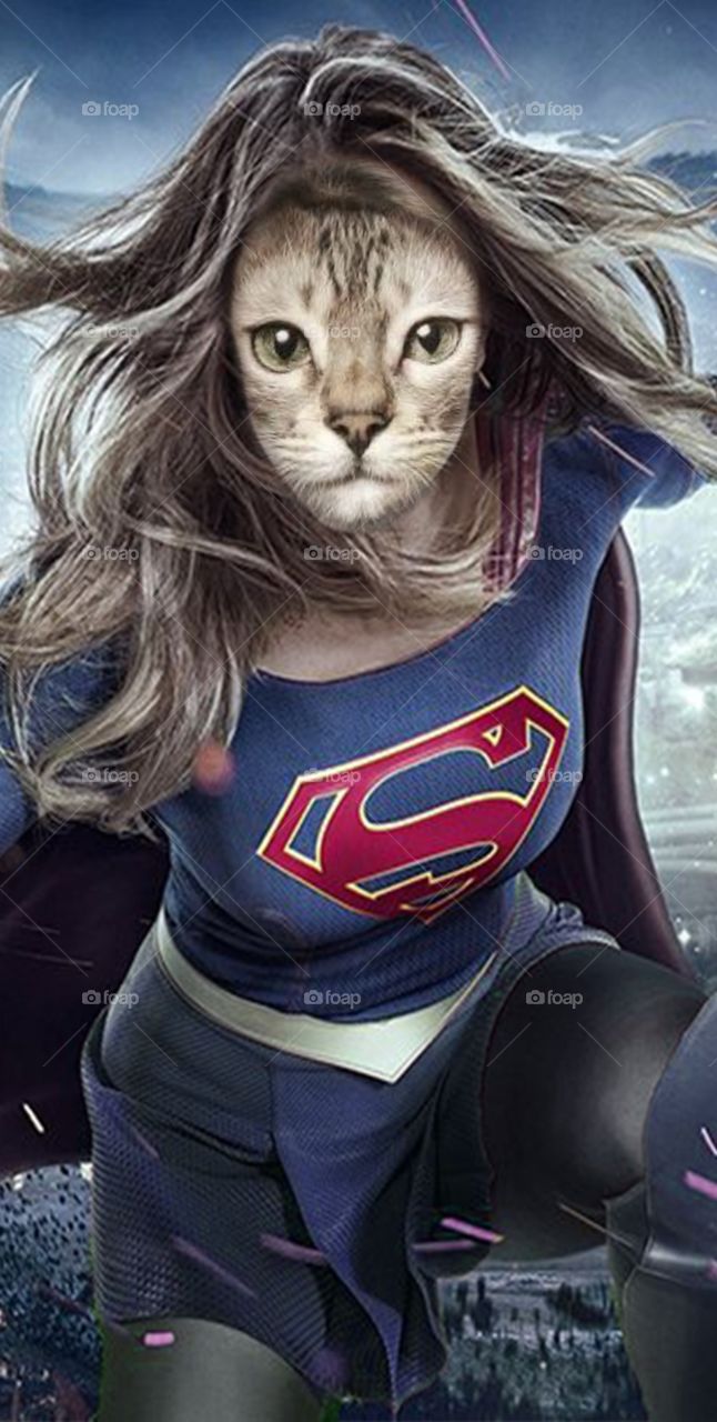 Super Cat Woman