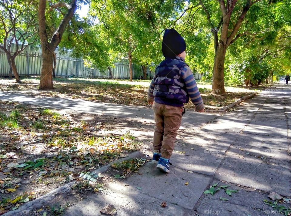 Child, Park, Fall, Tree, Leaf