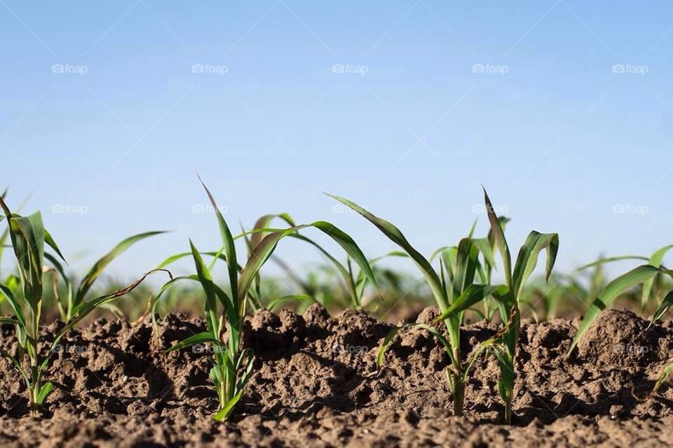 It's just about that time!