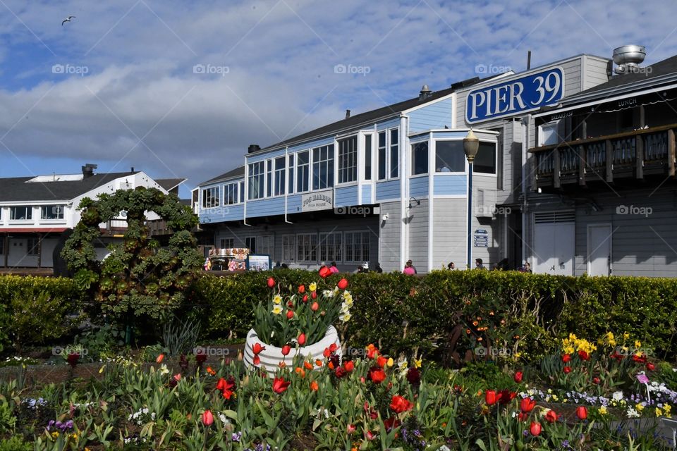 Pier 39 San Francisco