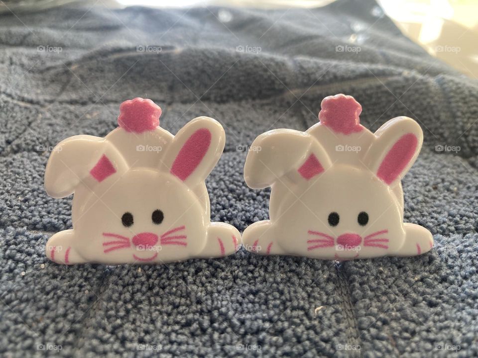 Bunnies for Easter 