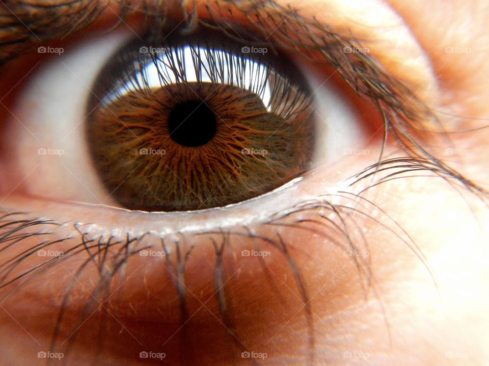 Close-up of men's brown eye