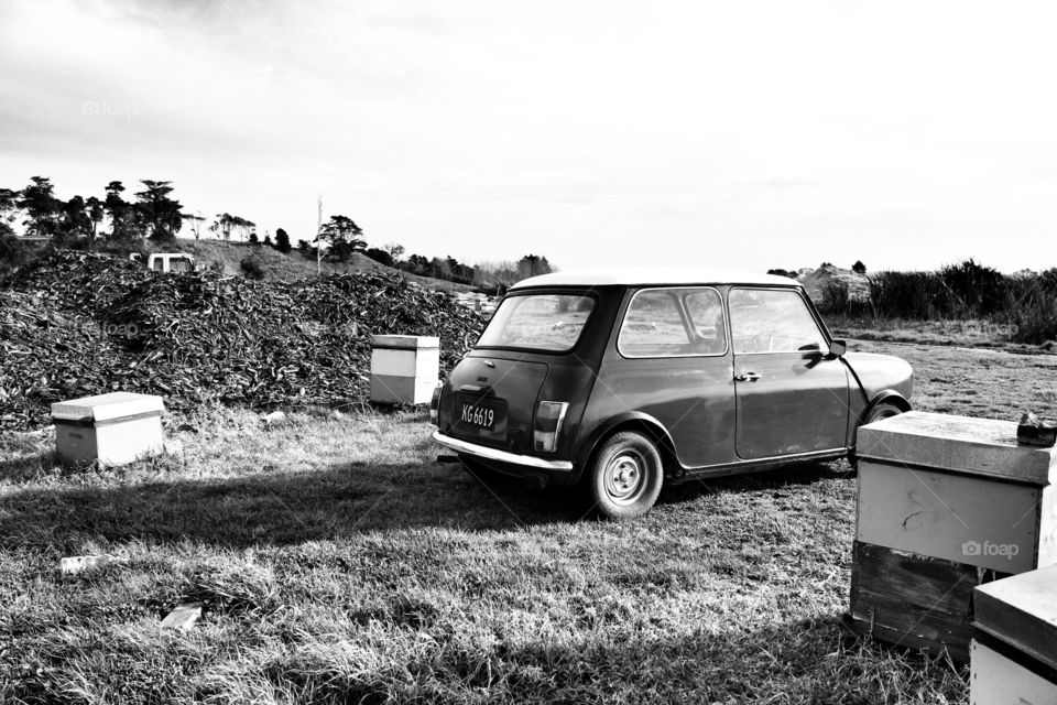 Monochrome Mini Beekeeping