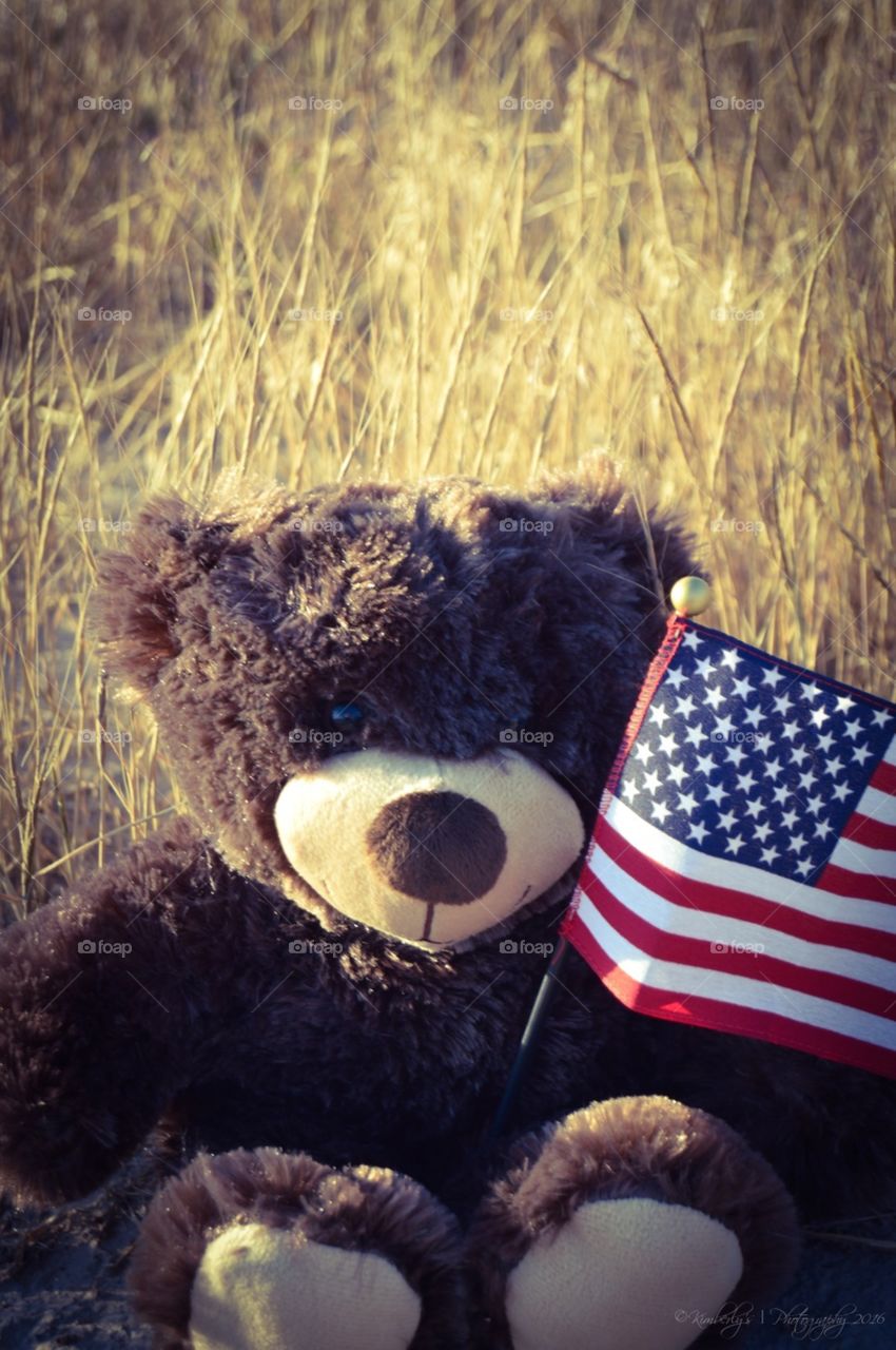 Teddy bear and flag