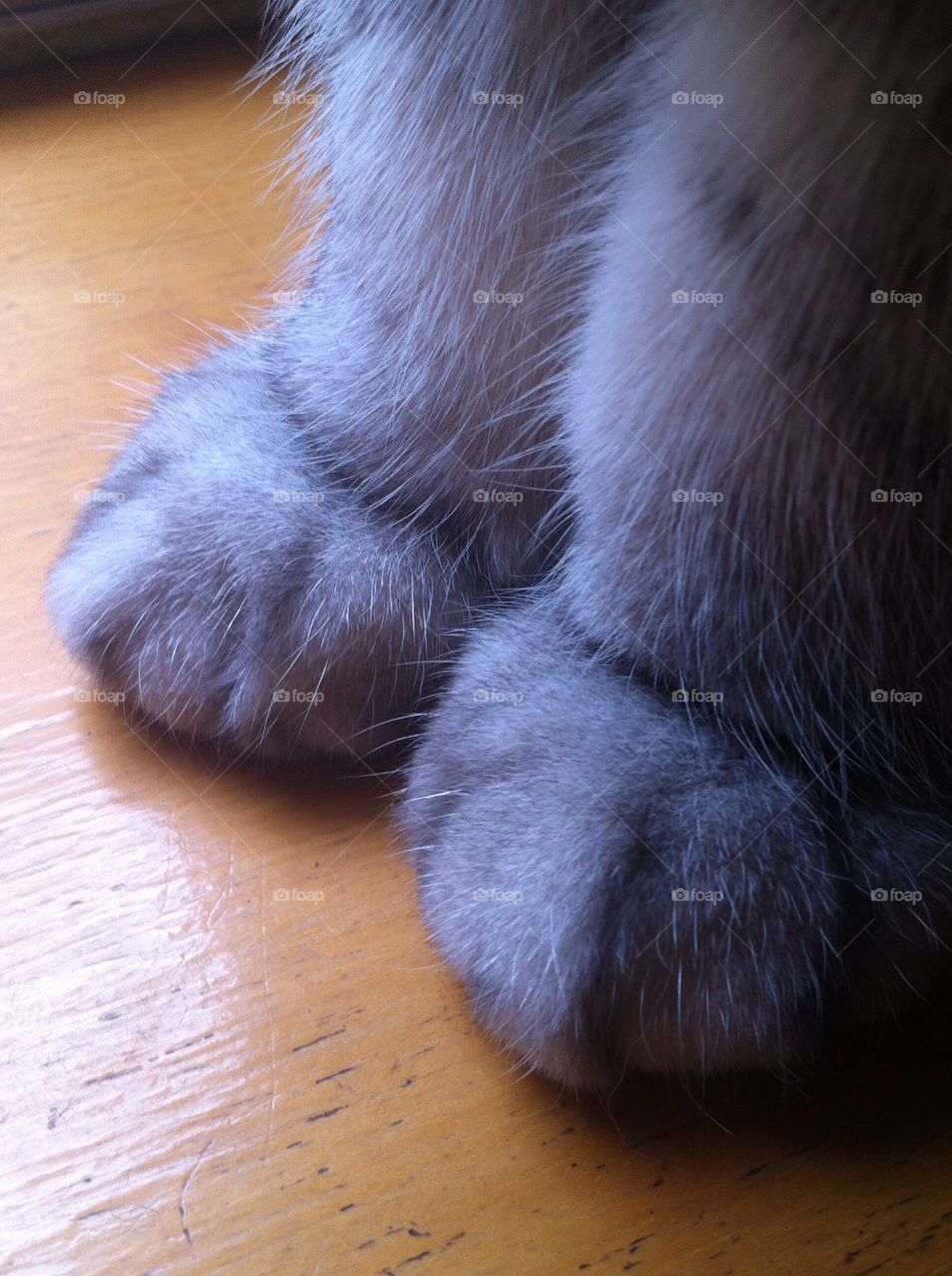 A pair of lovely feet