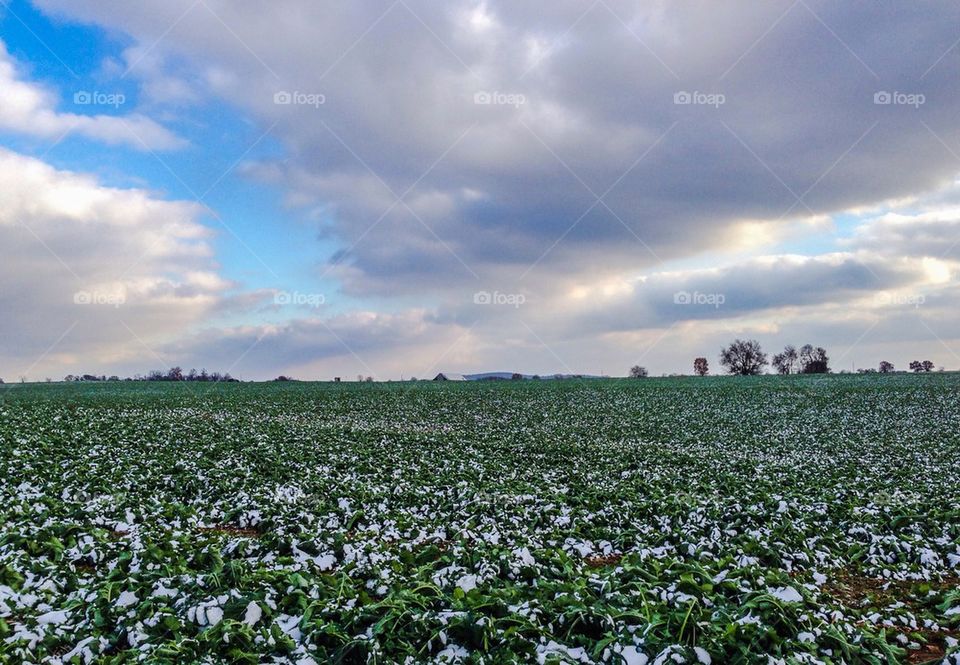 Snow on a farm field