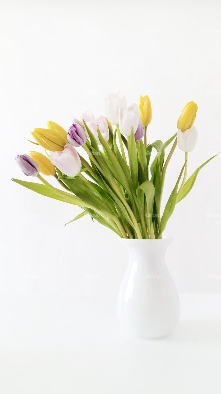 Bouquet of tulips