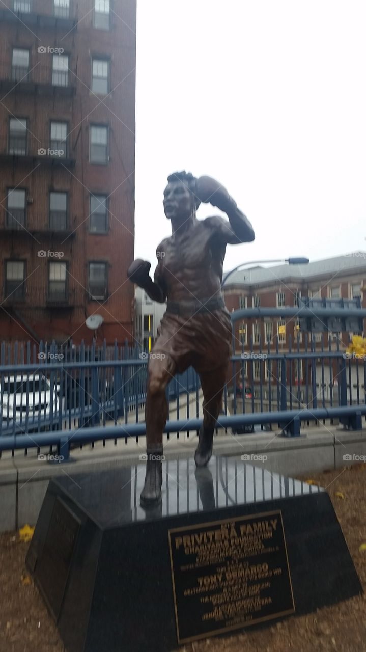 boxer statue
