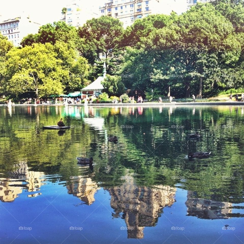 Central Park, 2014. 