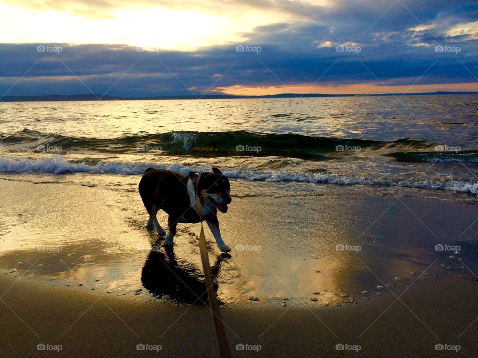 Playing on the beach 