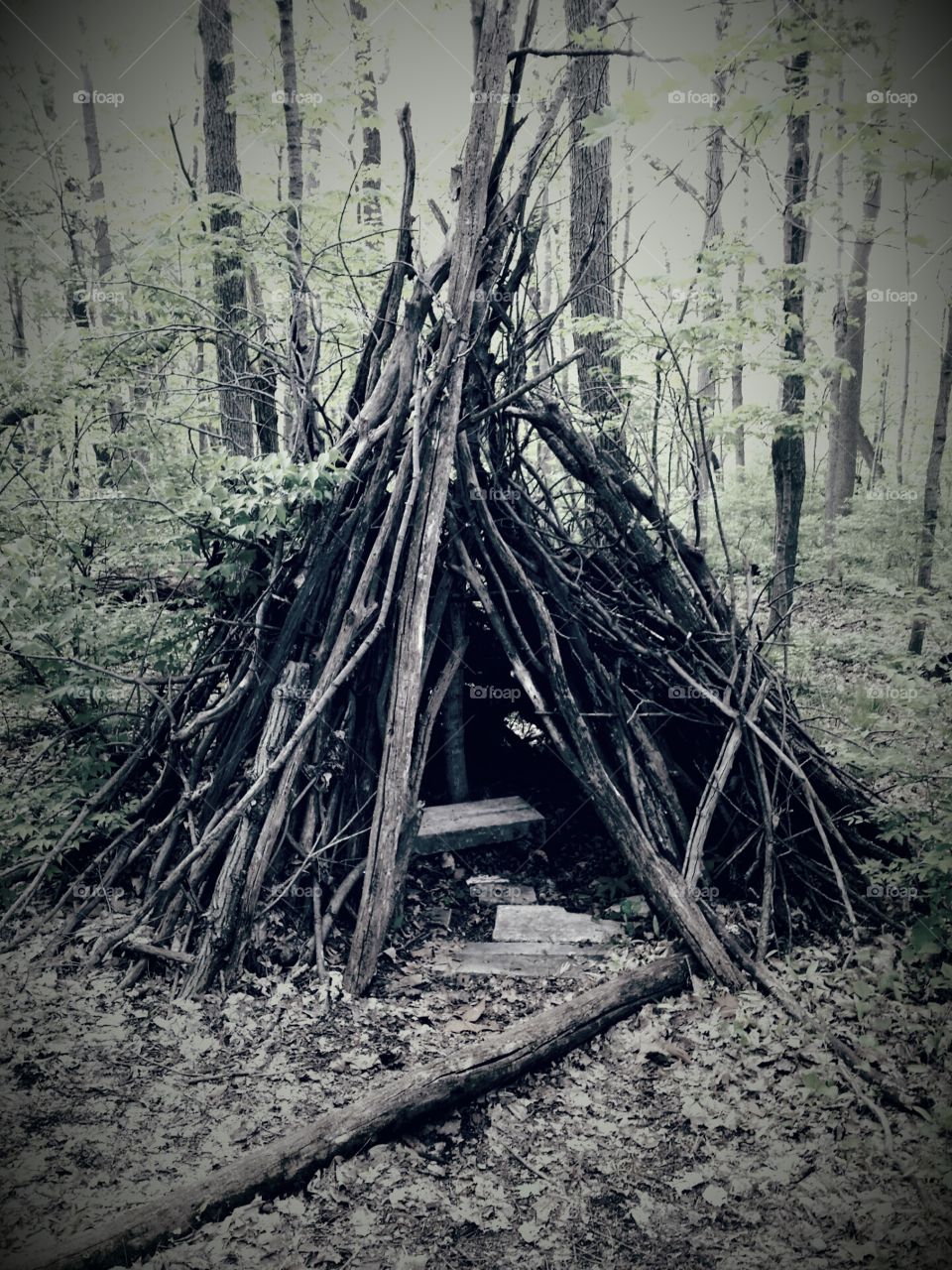 teepee fort. Found this gem at Skiles Test Park