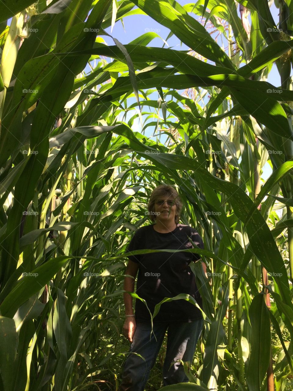 Standing in a field of corn