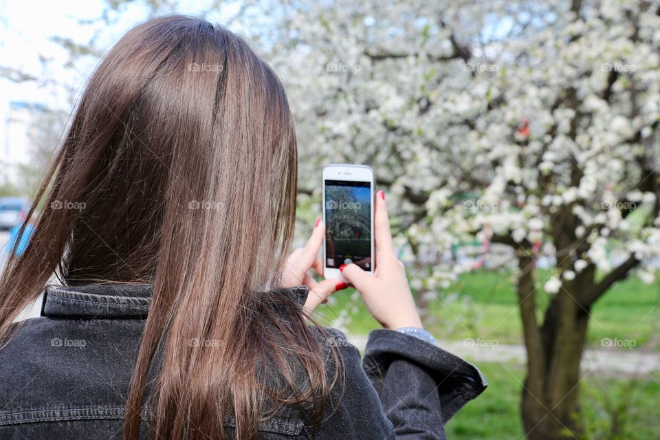 Taking picture of beautiful flowering tree 