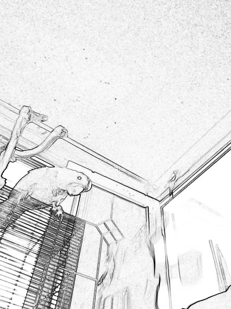 No Person, Architecture, Building, House, Expression