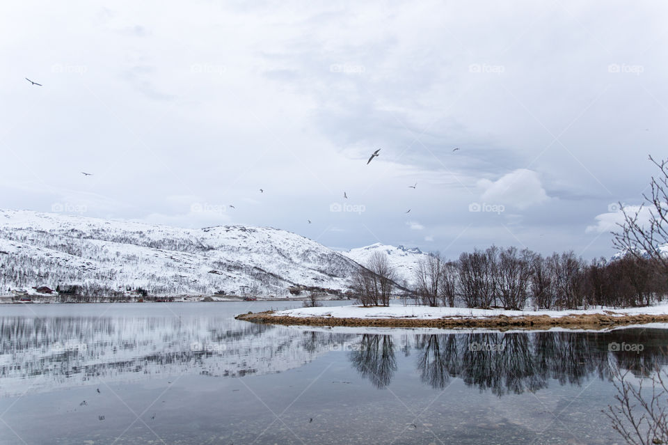 Idyllic lake in winter, Norway