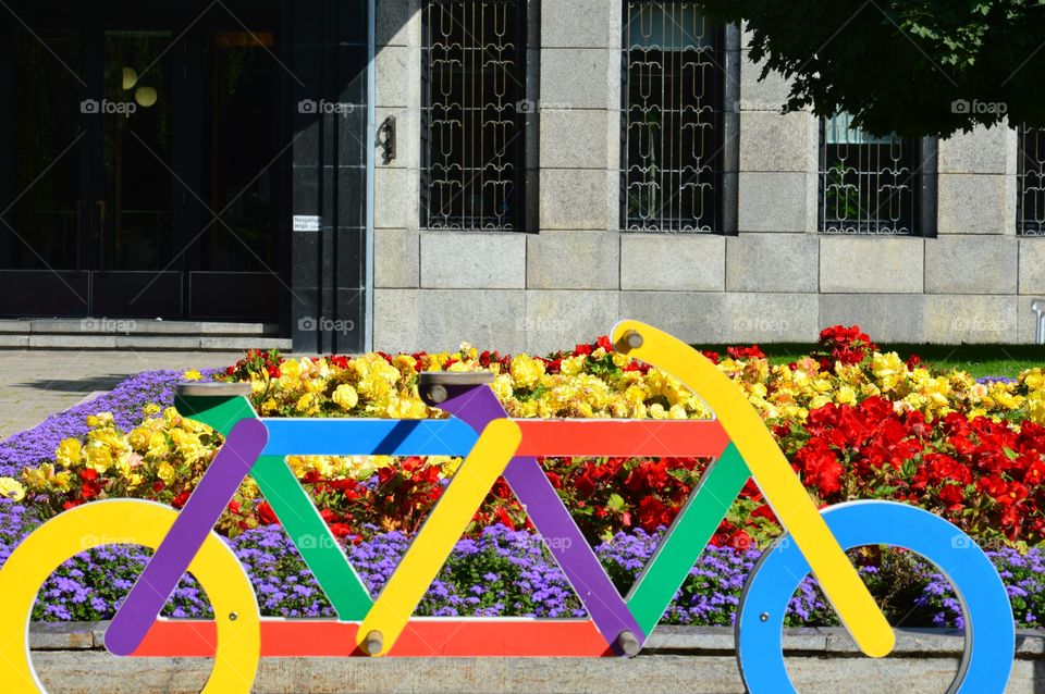 Cycling and flowers