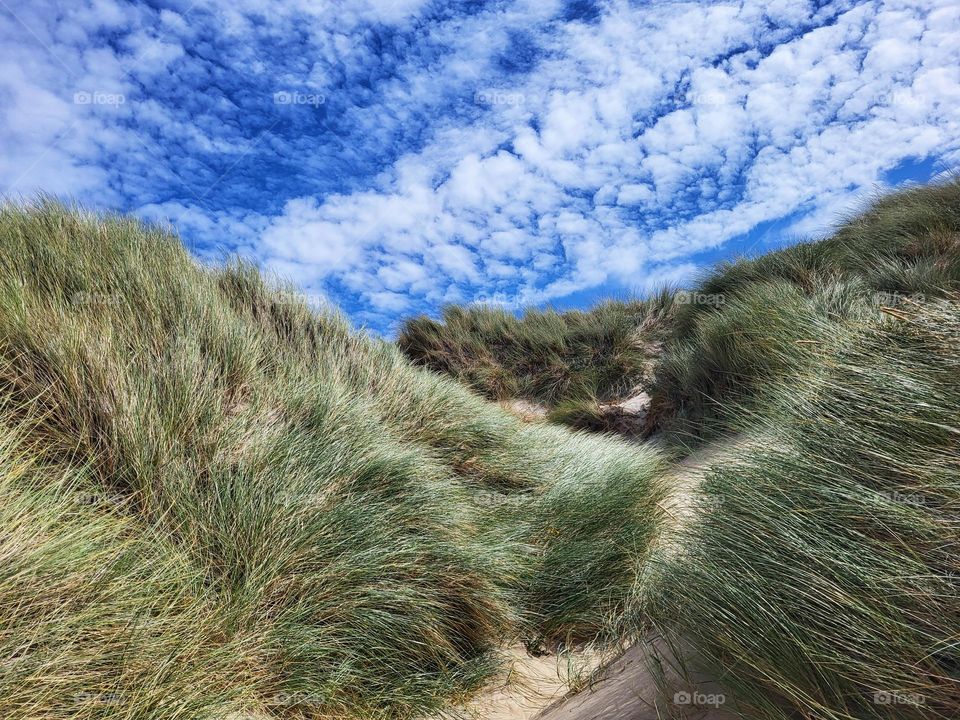 The dunes of Burgh Haamstede in the Netherlands.Nature in his purest form gives peace and health