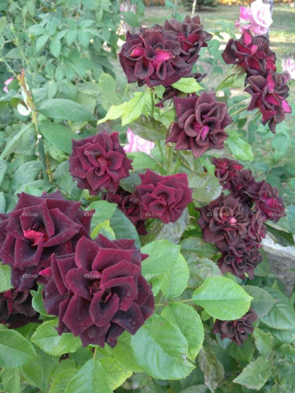 красота в природе