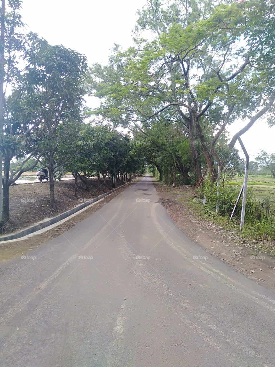 Kangla, an ancient palace of the Meitei Kingdom, a tourist destination, in the heart of the Imphal City, the capital of Manipur, a state in India.