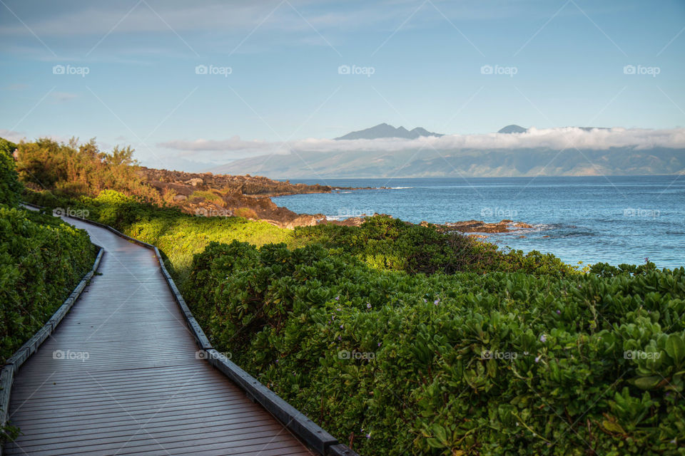 Hiking in Maui 